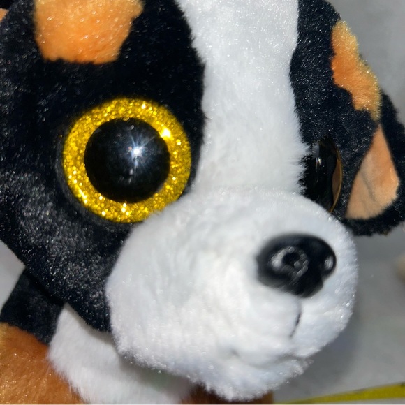 TY Classic Plush 2018 ROSCOE the Bernese Mountain Dog 9.5" gold glittery eyes - Picture 9 of 12